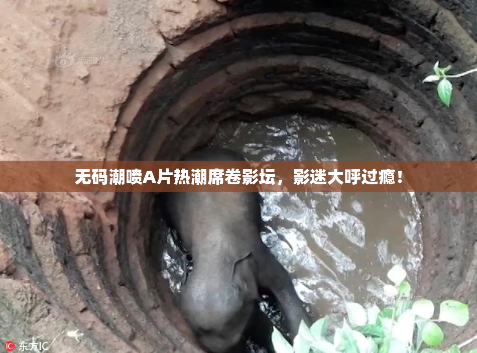 无码潮喷A片热潮席卷影坛，影迷大呼过瘾！