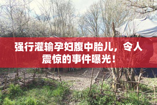 强行灌输孕妇腹中胎儿，令人震惊的事件曝光！