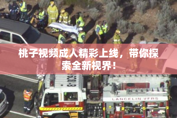 桃子视频成人精彩上线，带你探索全新视界！
