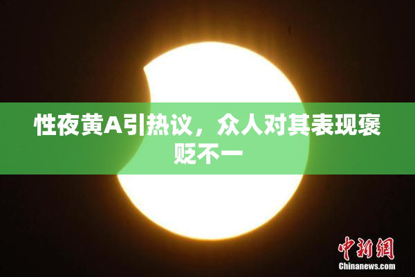 性夜黄A引热议，众人对其表现褒贬不一