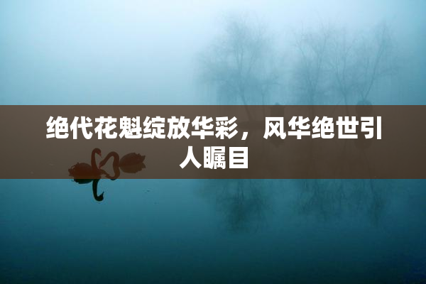 绝代花魁绽放华彩，风华绝世引人瞩目