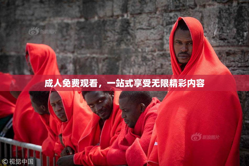 成人免费观看，一站式享受无限精彩内容