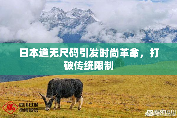 日本道无尺码引发时尚革命，打破传统限制
