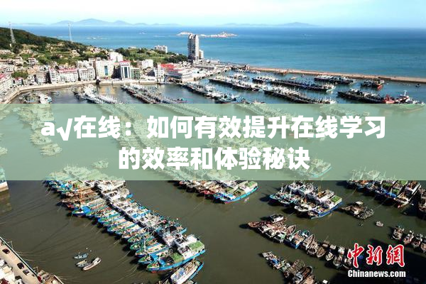 a√在线：如何有效提升在线学习的效率和体验秘诀