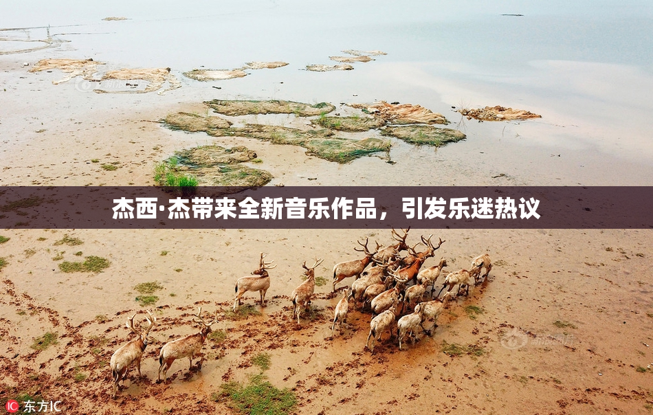 杰西·杰带来全新音乐作品，引发乐迷热议