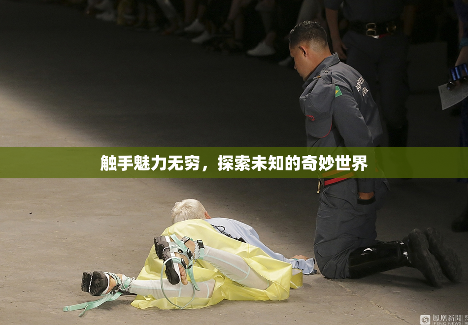 触手魅力无穷，探索未知的奇妙世界