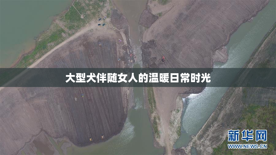 大型犬伴随女人的温暖日常时光