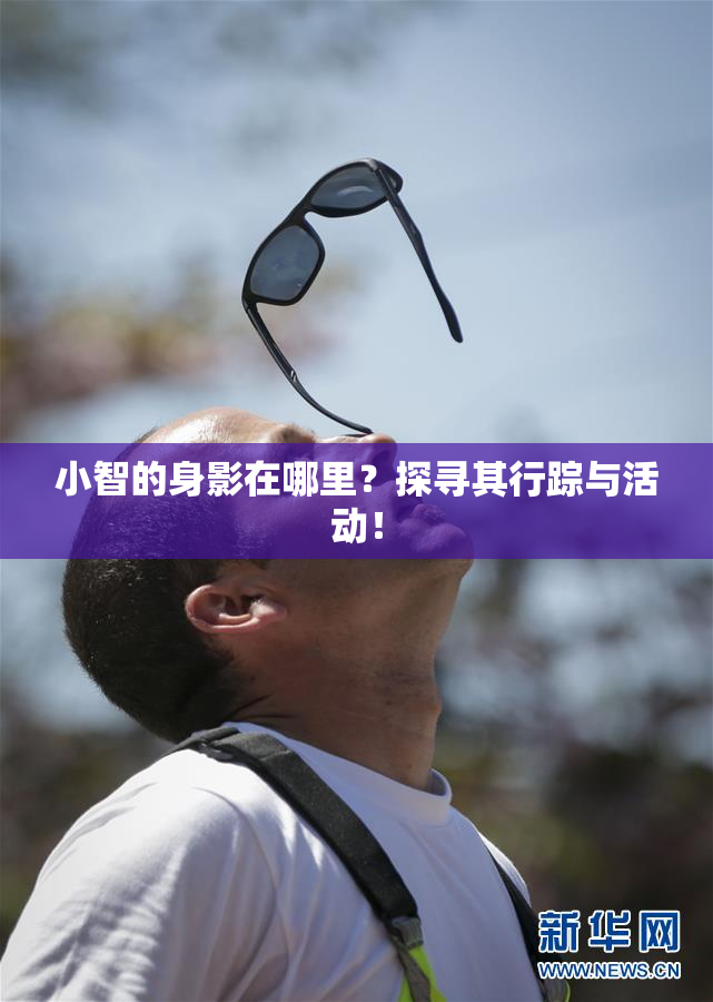 小智的身影在哪里？探寻其行踪与活动！