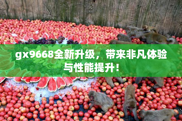 gx9668全新升级，带来非凡体验与性能提升！
