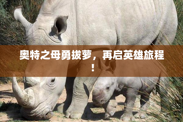 奥特之母勇拔萝，再启英雄旅程！