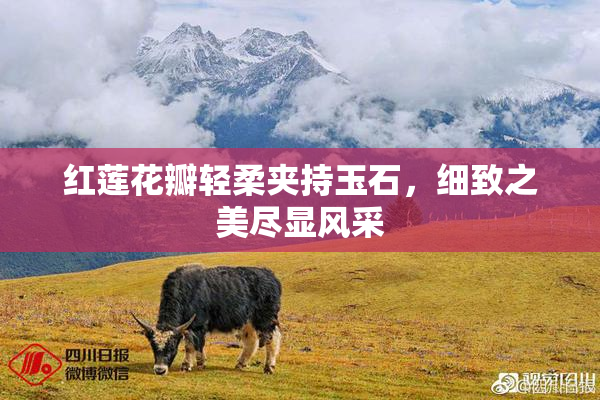 红莲花瓣轻柔夹持玉石，细致之美尽显风采