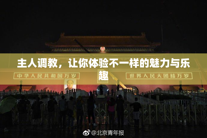 主人调教，让你体验不一样的魅力与乐趣
