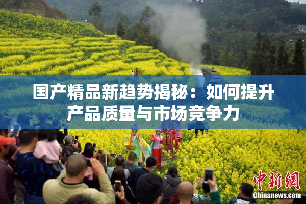 国产精品新趋势揭秘：如何提升产品质量与市场竞争力