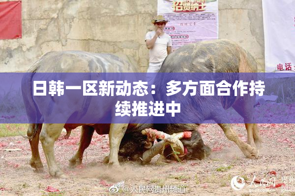日韩一区新动态：多方面合作持续推进中