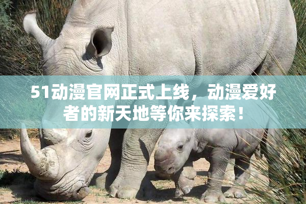 51动漫官网正式上线，动漫爱好者的新天地等你来探索！