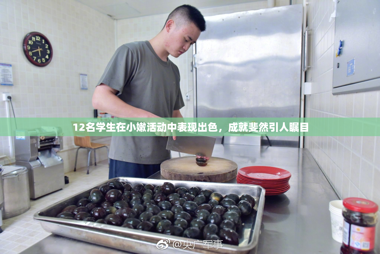 12名学生在小嫩活动中表现出色，成就斐然引人瞩目