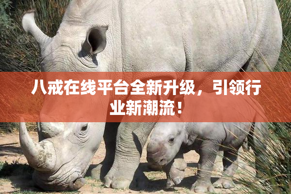 八戒在线平台全新升级，引领行业新潮流！