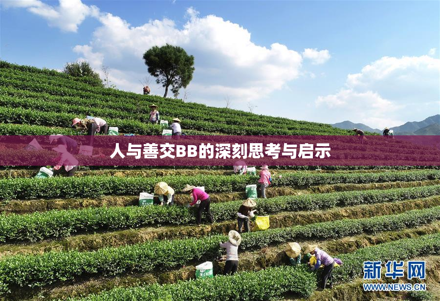 人与善交BB的深刻思考与启示