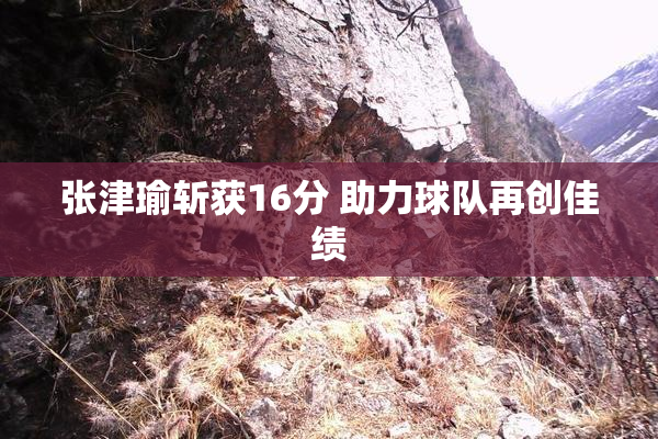 张津瑜斩获16分 助力球队再创佳绩