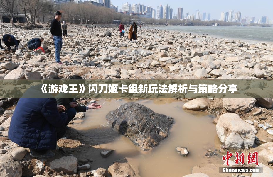《游戏王》闪刀姬卡组新玩法解析与策略分享