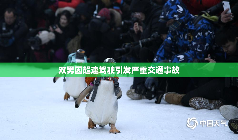 双男因超速驾驶引发严重交通事故
