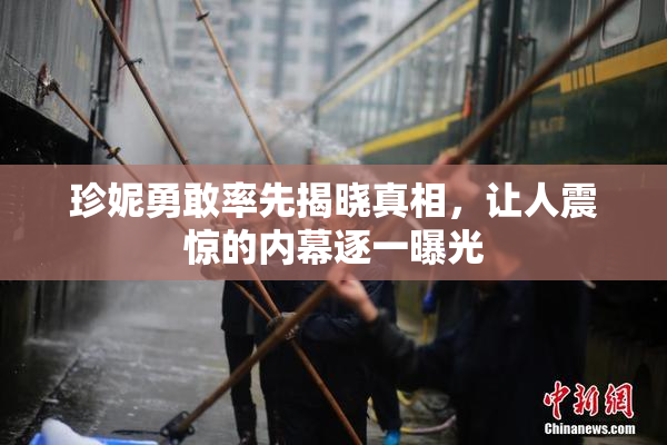 珍妮勇敢率先揭晓真相，让人震惊的内幕逐一曝光