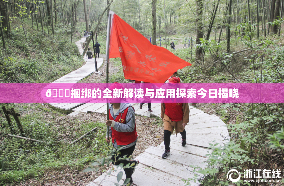 🔞捆绑的全新解读与应用探索今日揭晓