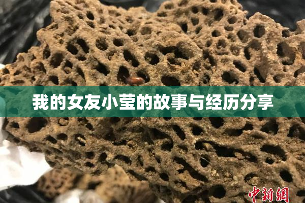 我的女友小莹的故事与经历分享