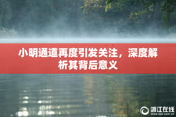 小明通道再度引发关注，深度解析其背后意义