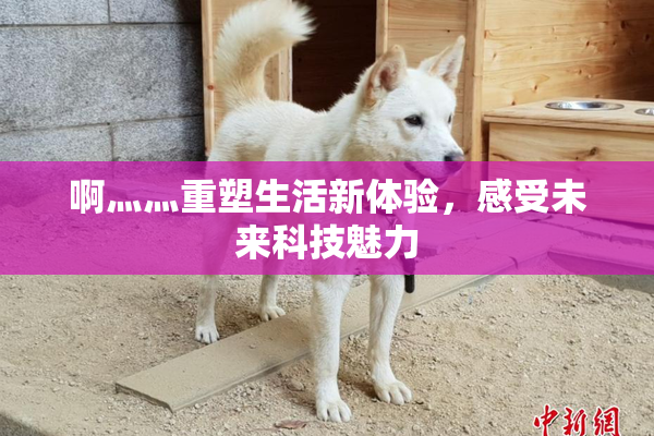 啊灬灬重塑生活新体验，感受未来科技魅力