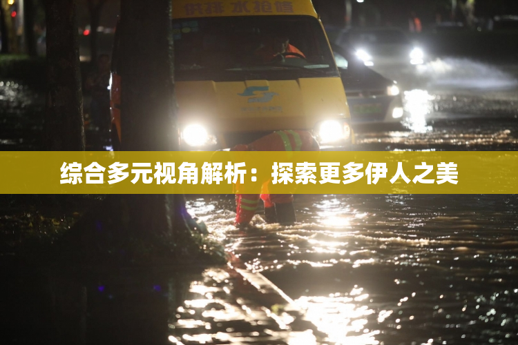 综合多元视角解析：探索更多伊人之美