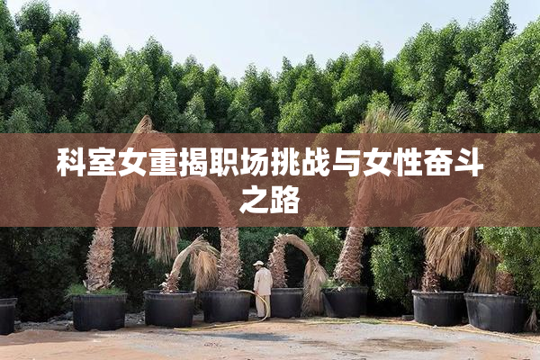 科室女重揭职场挑战与女性奋斗之路
