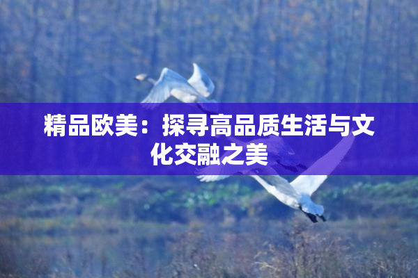精品欧美：探寻高品质生活与文化交融之美