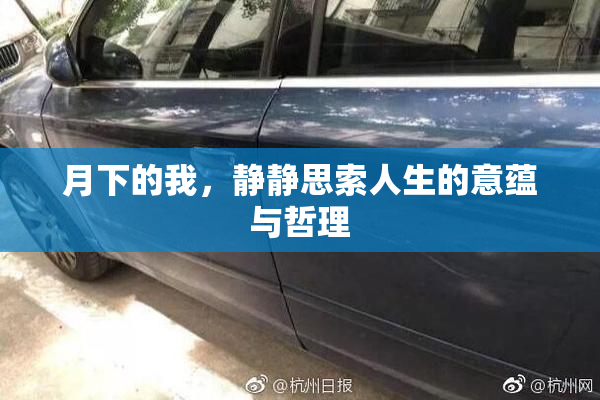 月下的我，静静思索人生的意蕴与哲理