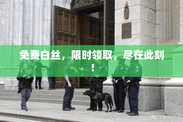 免费白丝，限时领取，尽在此刻！