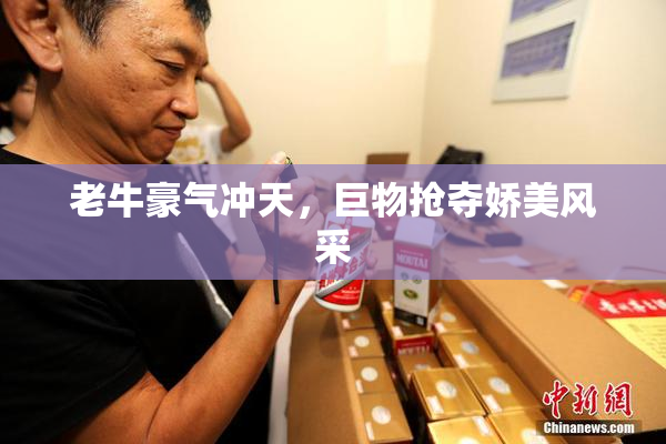 老牛豪气冲天，巨物抢夺娇美风采
