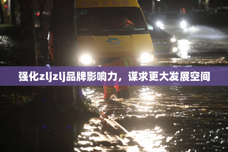 强化zljzlj品牌影响力，谋求更大发展空间