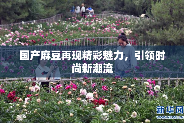 国产麻豆再现精彩魅力，引领时尚新潮流