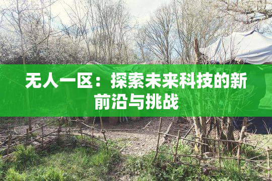 无人一区：探索未来科技的新前沿与挑战