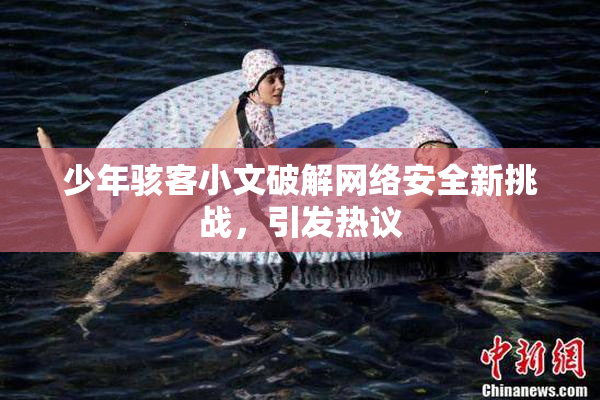 少年骇客小文破解网络安全新挑战，引发热议