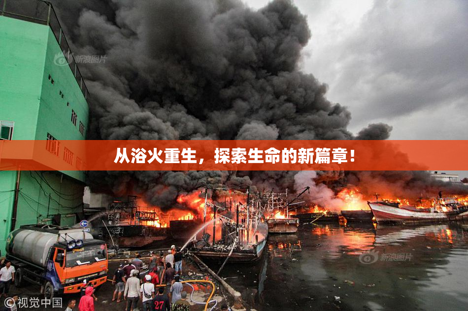 从浴火重生，探索生命的新篇章！
