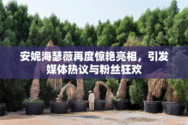 安妮海瑟薇再度惊艳亮相，引发媒体热议与粉丝狂欢