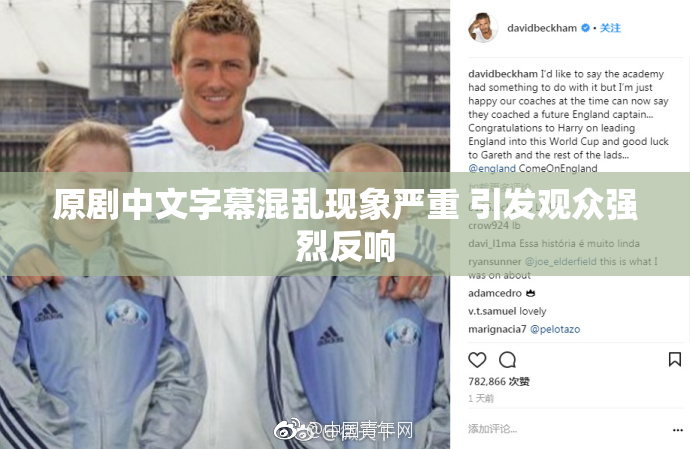 原剧中文字幕混乱现象严重 引发观众强烈反响