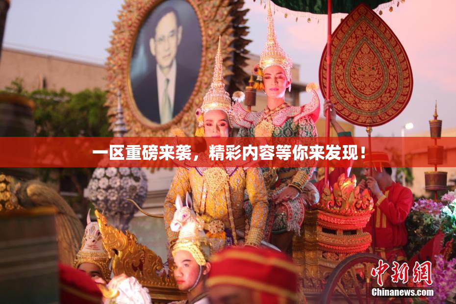 一区重磅来袭，精彩内容等你来发现！
