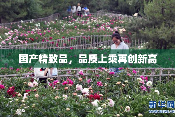 国产精致品，品质上乘再创新高