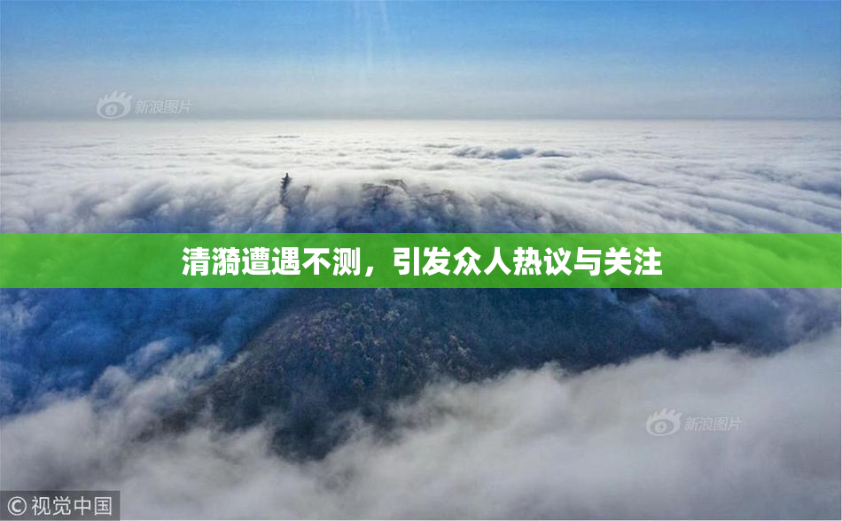 清漪遭遇不测，引发众人热议与关注