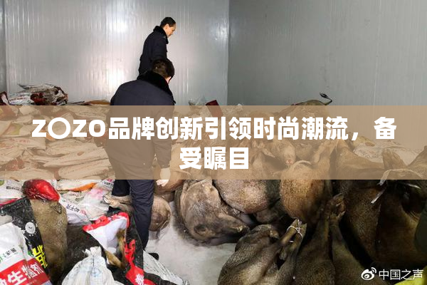 Z〇ZO品牌创新引领时尚潮流，备受瞩目
