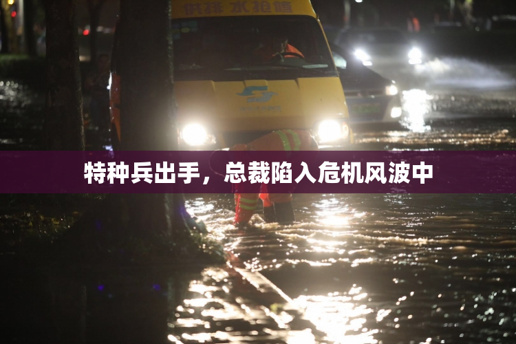 特种兵出手，总裁陷入危机风波中