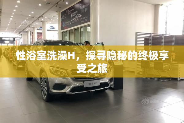 性浴室洗澡H，探寻隐秘的终极享受之旅