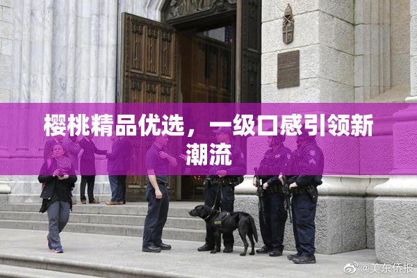 樱桃精品优选，一级口感引领新潮流